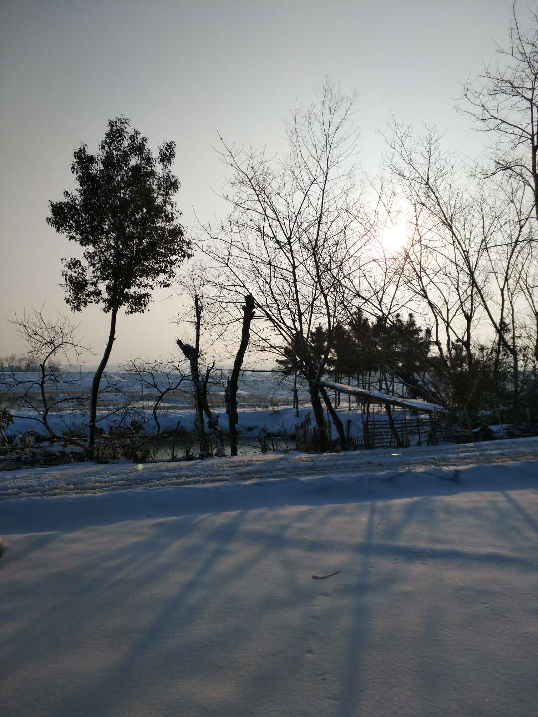 20180105142242 enter description here
