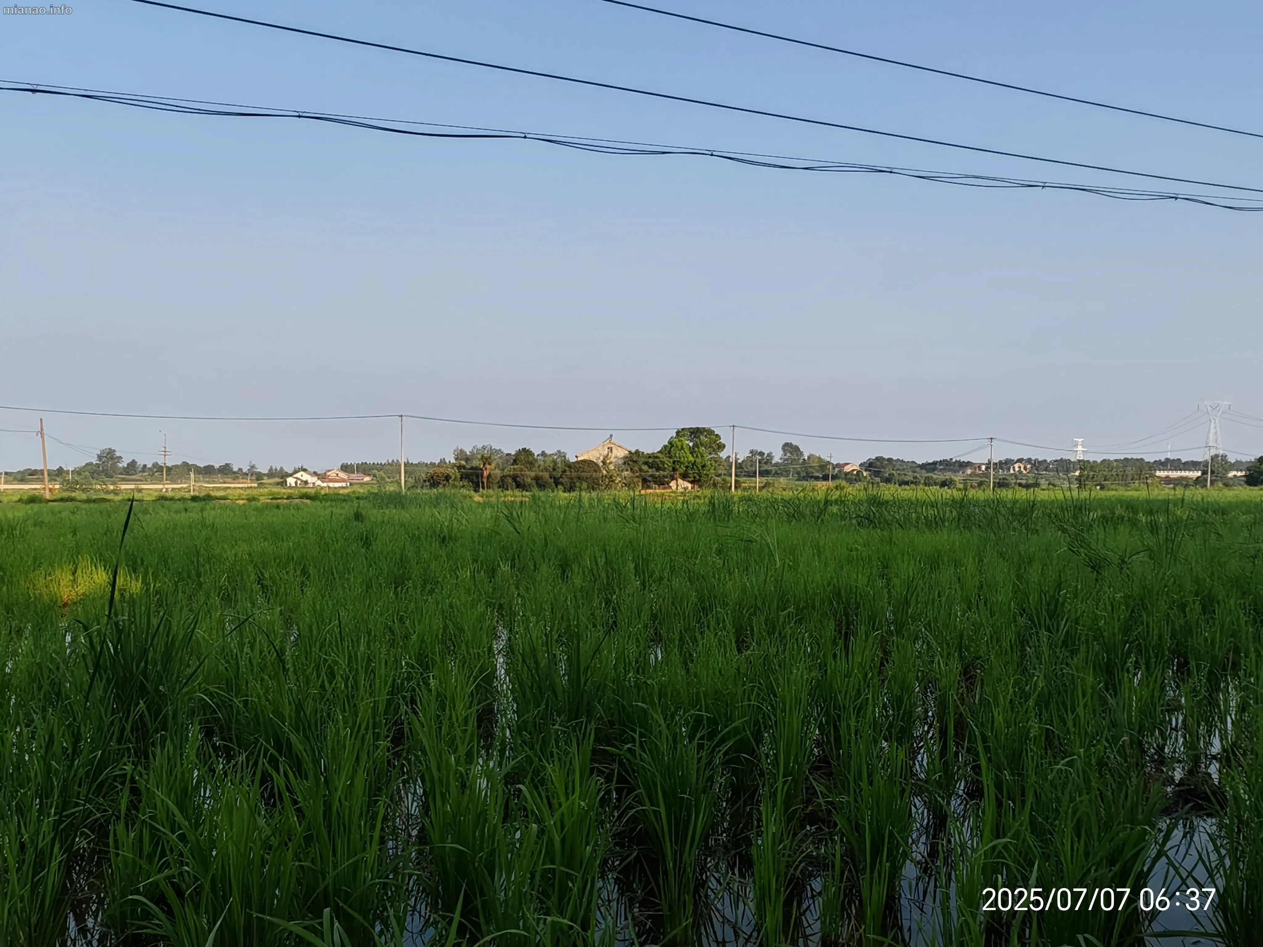 IMG_20250707_063720