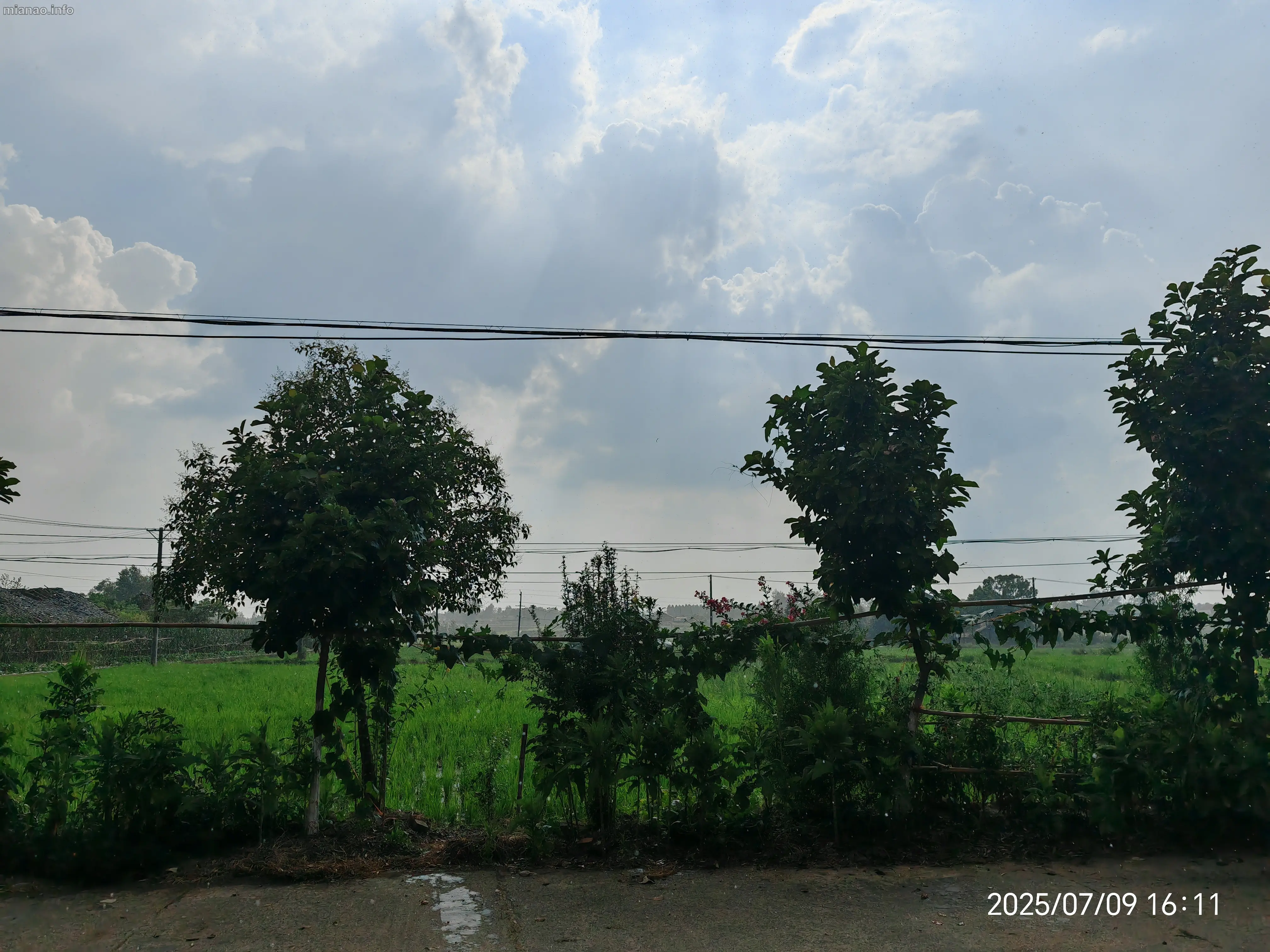 IMG_20250709_161143